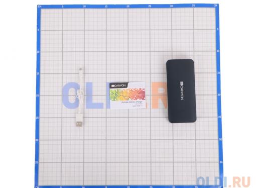 Внешний аккумулятор Canyon CNE-CPB100DG