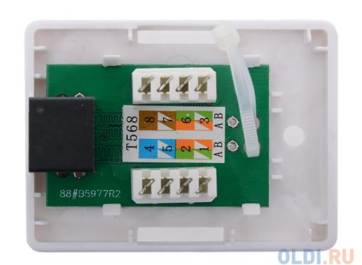 Розетка внешняя RJ-45 (UTP) 5E кат.