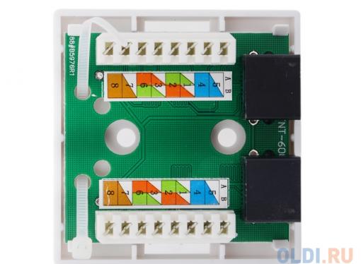 Розетка внешняя RJ-45 (UTP) 5E кат. двойная