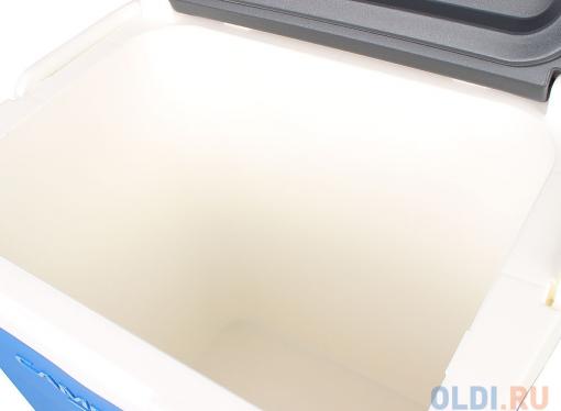 Контейнер изотермический CG Icetime Plus 29L