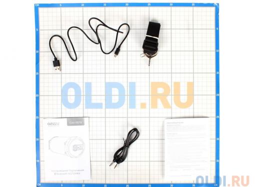 Беспроводная BT-Колонка GINZZU GM-987B, bluetooth, 10W/USB/TF/AUX/FM/Subwoofer