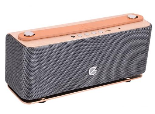 Портативная акустика GZ electronics LoftSound GZ-44 золотистый