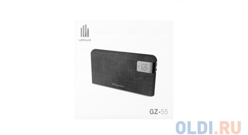Портативная акустика GZ electronics LoftSound GZ-55 черный